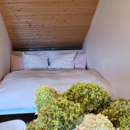 Apartmán Podkrovní V Centru Litomyšle