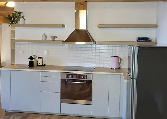 Podkrovni V Centru Litomysle Apartment