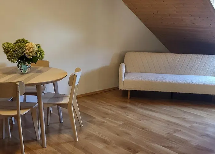 Podkrovni V Centru Litomysle Litomyšl